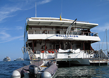Ecuador-Galapagos-Millennium - Luxury Catamaran